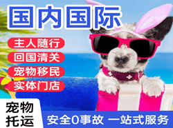 鸡西空运地址国际宠物托运 【国